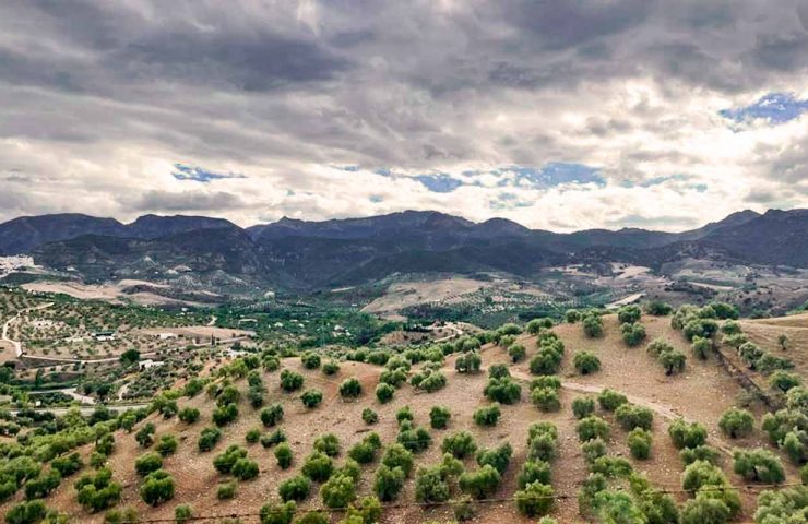 AOVE-de-la-Sierra-de-Cadiz